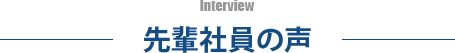 先輩社員の声